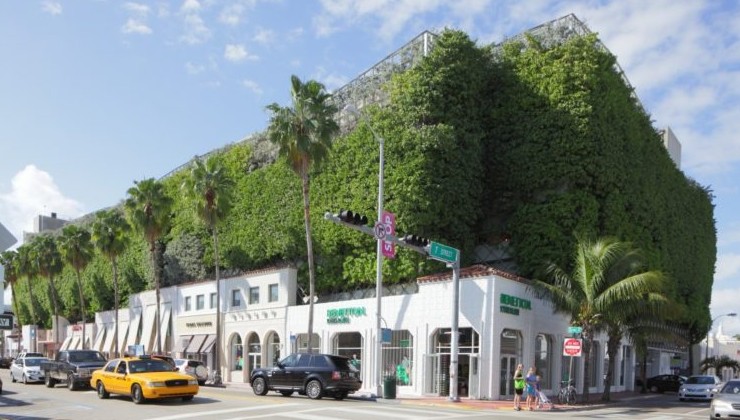 В Майами зазеленели здания - «В мире»