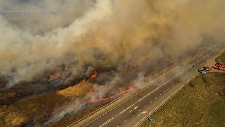 В Чернобыле огонь вплотную подбирается к хранилищам радиоактивных отходов. - «В мире»