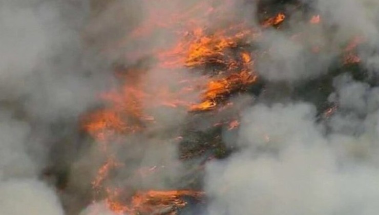 Пожар в заповеднике США разросся на 36 га - «В мире»