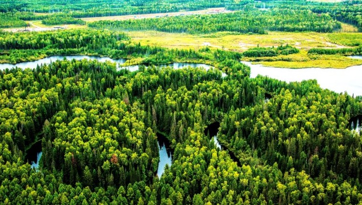 «Роснефть» инвестировала в экологию ХМАО 36 миллиардов - «Зеленая Экономика»