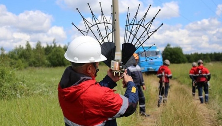 Россети установят в Ярославской области птицезащитные устройства - «Зеленая Экономика»