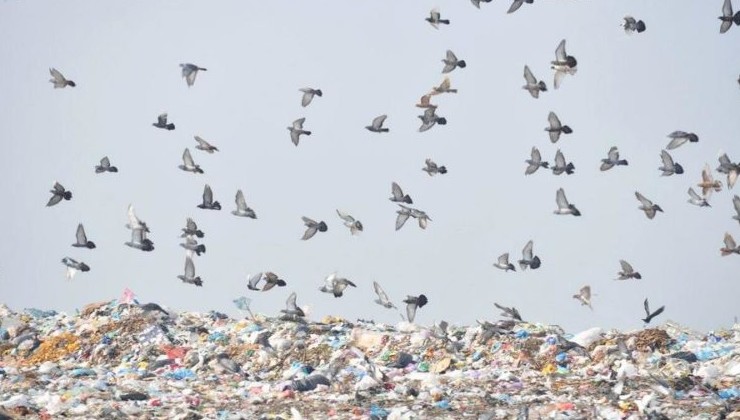 Зеленский предложил Швеции построить в Украине мусороперерабатывающие заводы - «В мире»