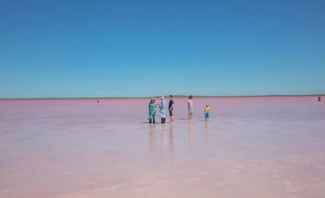 В Казахстане розовому озеру нанесли «необратимый урон» - «В мире»
