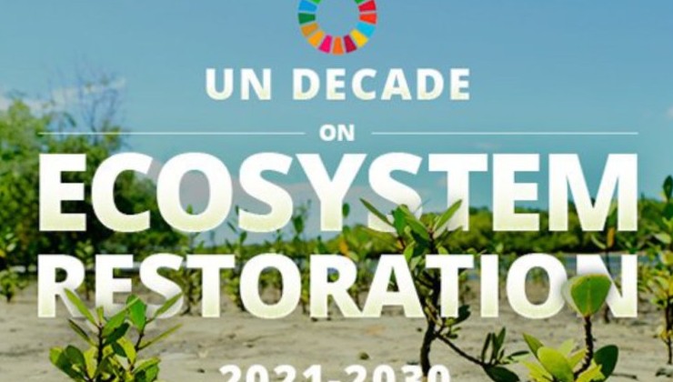 В мире началось десятилетие восстановления экосистем - «В мире»