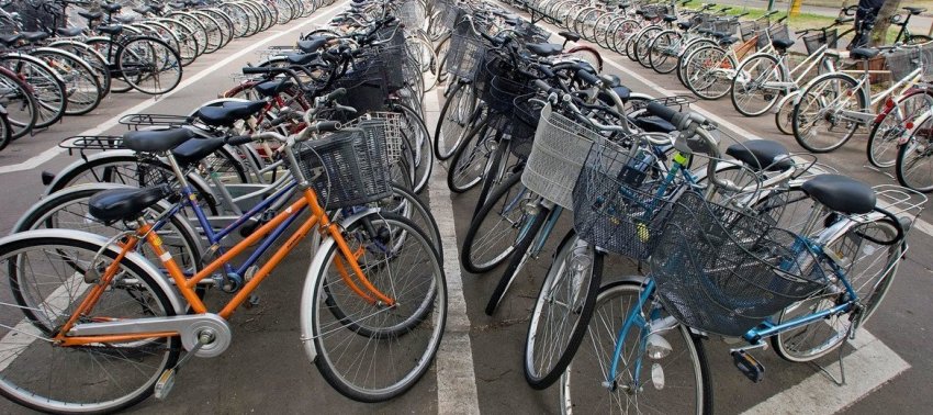 Европейские лидеры намерены пересадить своих граждан на велосипеды - «Экология»
