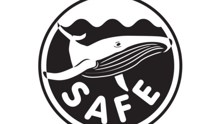 Разработана экомаркирока для кораблей, обещающая безопасность китам - «В мире»
