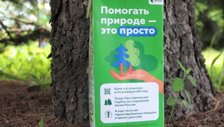 500 тыс. рублей за 4 месяца собрали на сохранение лесов - «Зеленая Экономика»
