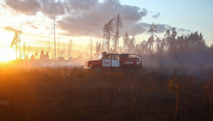 Из-за сибирских пожаров в атмосферу попало 970 мегатонн углерода - «Экология России»