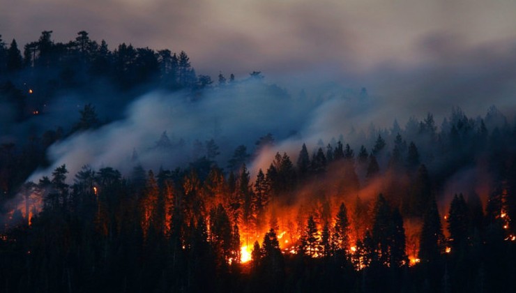 Площадь летних пожаров в РФ стала рекордной за 100 лет - «Экология России»