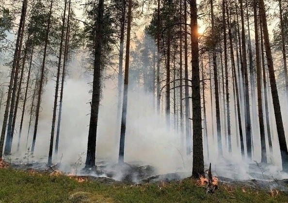 В России продолжают бороться с природными пожарами - «Экология России»