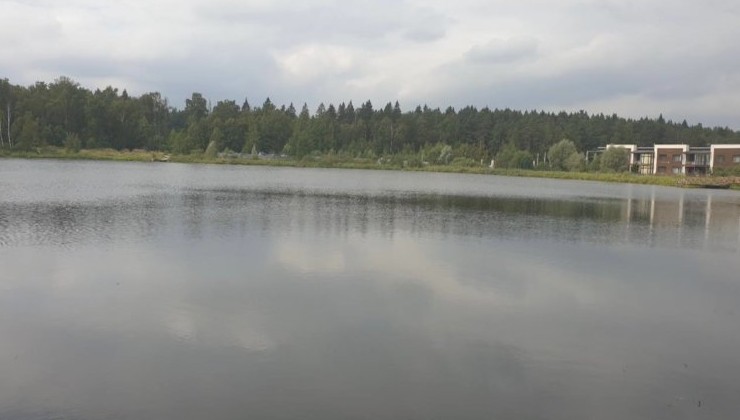 Жители Красногорска просят спасти местное озеро - «Экология России»