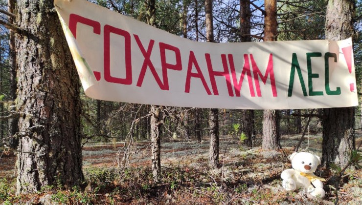 Активисты Коми отстояли лес - «Экология России»