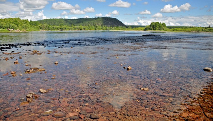 Астраханская область готовится к спасению от водного коллапса - «Экология России»