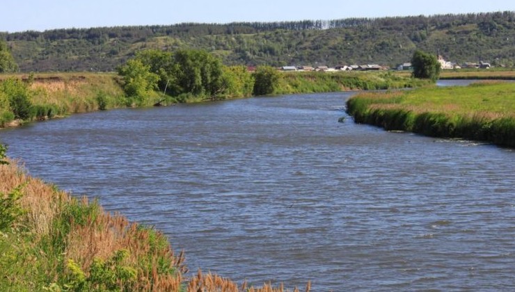 Ярославские экологи проверили реку Урочь на загрязнения - «Экология России»