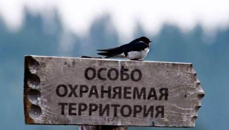На Колыме появится новый нацпарк - «Экология России»