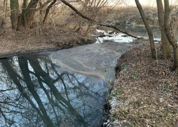 Под Томском проверят информацию о сливе нечистот в реку - «Экология России»