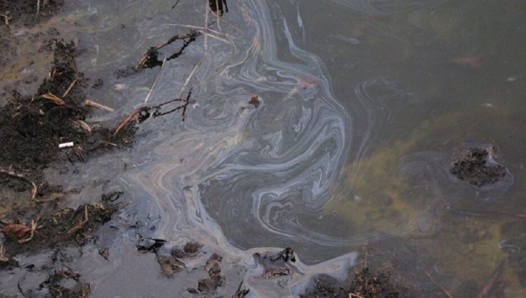 Река Волхов загрязнена нефтепродуктами - «Экология России»