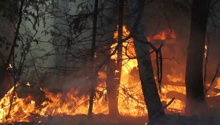 Рослесхоз назвал регионы с повышенной пожарной опасностью в октябре - «Экология России»