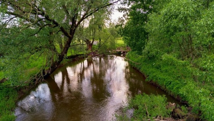 В Калининграде расчистят русло реки Лесная - «Экология России»