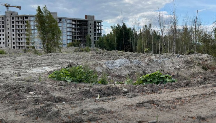 В Ленобласти обнаружена незаконная свалка с опасными отходами - «Экология России»