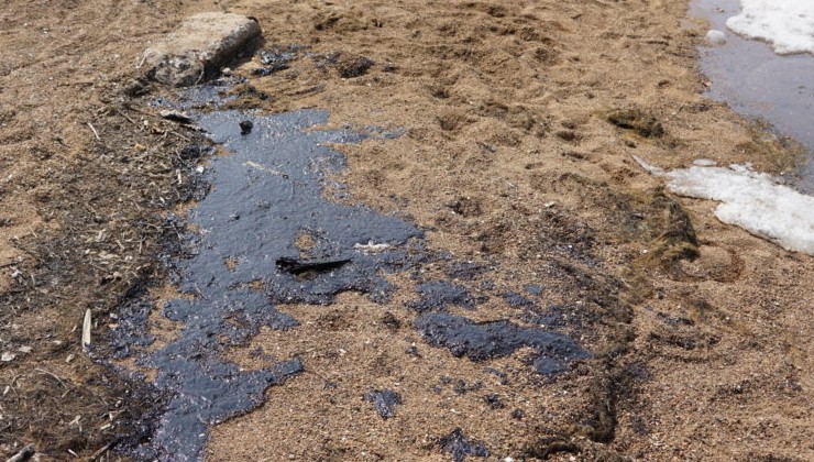В Саратове бизнесмены загрязнили землю нефтью на 2 млн рублей - «Экология России»