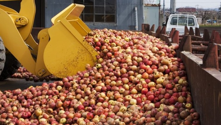 Фудшеринг сократит объем пищевых отходов на 60% - «Зеленая Экономика»