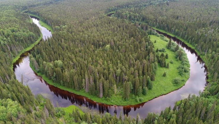 Изменять границы ООПТ ради туризма и промышленности не будут - «Экология России»