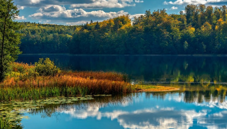 Парковое озеро в центре Воронежа привели в порядок - «Экология России»