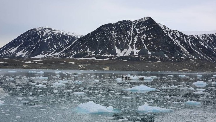 Росприроднадзор назвал количество экологических нарушений в Арктике - «Экология России»