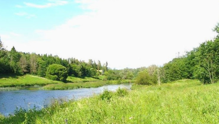 В Московской области планируют создать 50 лесопарков - «Экология России»