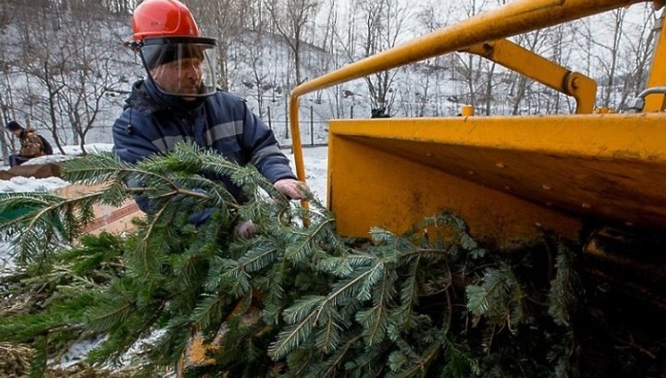 «Елочный круговорот» начнется в Москве 2 января - «Зеленая Экономика»
