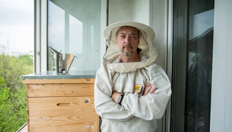 Оказывается, пчел можно разводить в городской квартире - «Экология России»