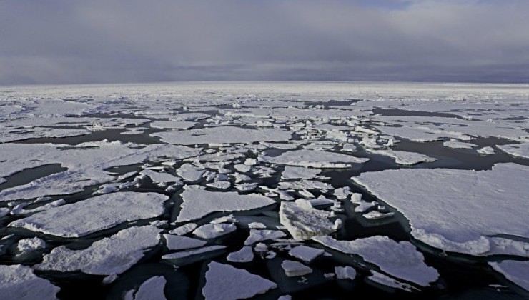 Площадь ООПТ Арктики превысила 38 млн. га - «Экология России»