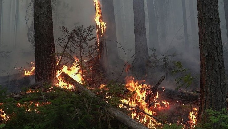 Ущерб природных пожаров в Свердловской области превысил 300 миллионов рублей - «Экология России»