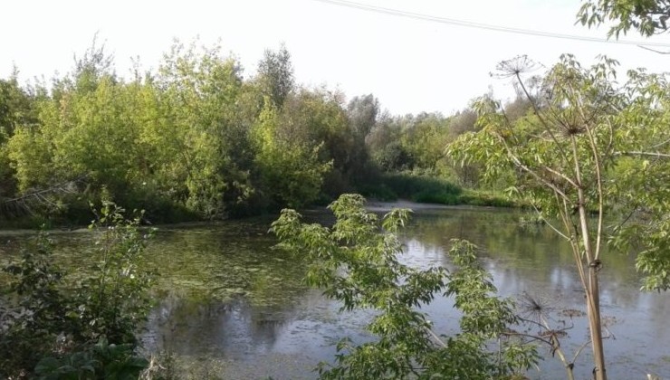 В 2022 году расчистят реки в Татарстане и Мордовии - «Экология России»