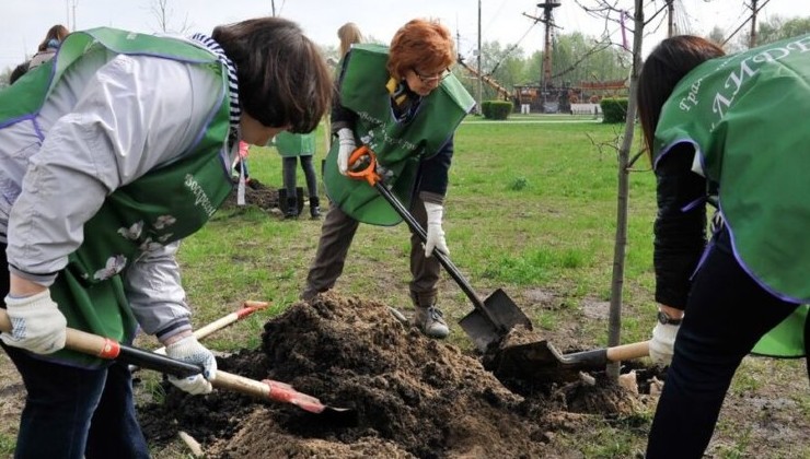 Воронеж будут озеленять по специальной трехгодичной концепции - «Экология России»