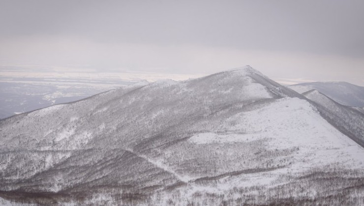 Активистам удалось защитить гору в Южно-Сахалинске от застройки - «Экология России»