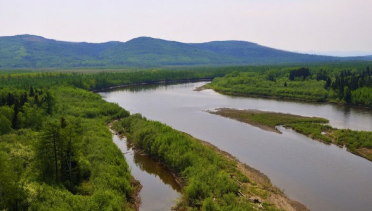 Два природных заказника открыли в Хабаровском крае - «Экология России»