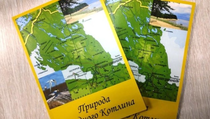 О природе западного Котлина рассказали в книге - «Экология России»