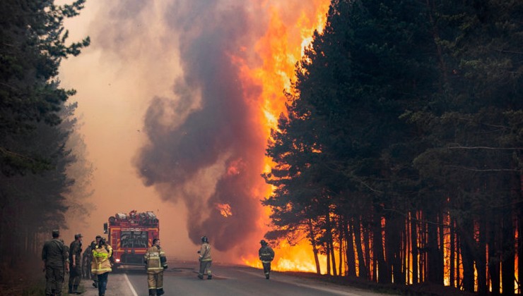 Около 90 млн рублей потратят на новую технику для лесных пожарных в Новгородской области - «Экология России»