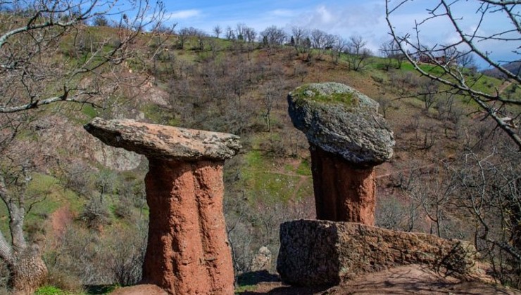 В Крыму создадут три новых ООПТ - «Экология России»