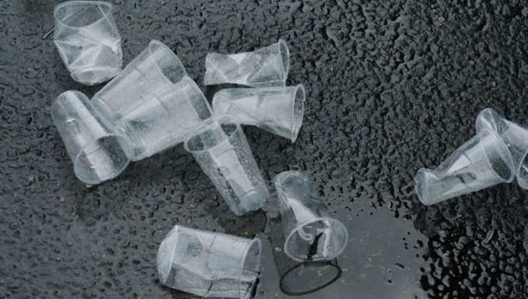 В России оценят последствия запрета одноразовых пластиковых изделий - «Экология России»