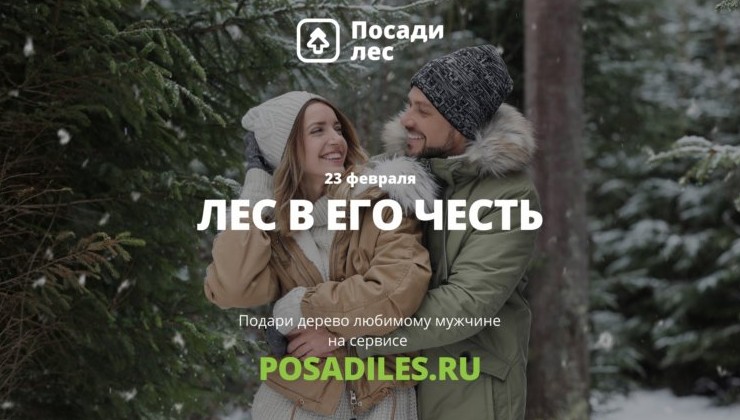 «Деревья вместо носков»: стартовала экоакция ко Дню защитника Отечества - «Экология России»