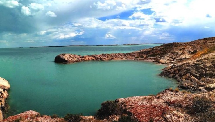 Экологи и общественность обеспокоены экологической обстановкой на озере Балхаш - «В мире»