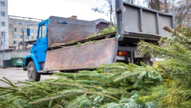 Москвичи сдали на переработку 49 тысяч новогодних ёлок - «Экология России»