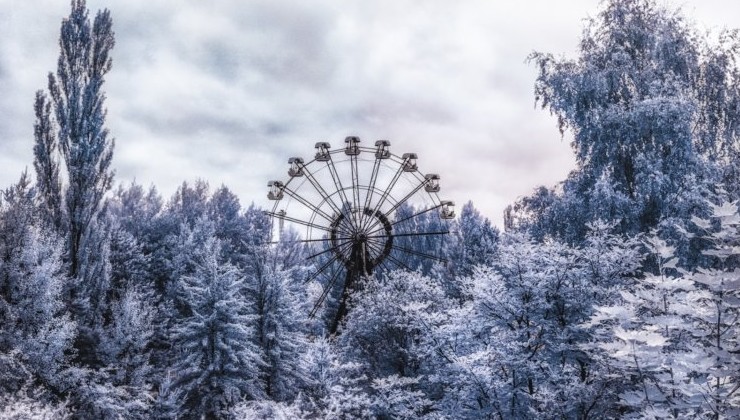 В Чернобыльском заповеднике сфотографировали косулю редкого окраса - «В мире»