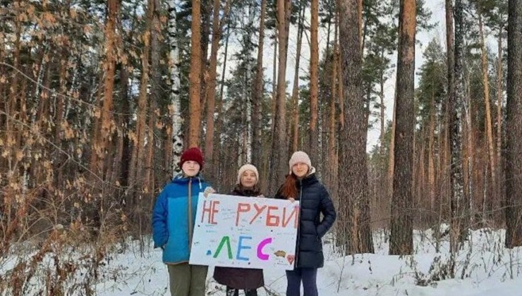 Жители Екатеринбурга выступают против вырубки лесопарковой зоны - «Экология России»