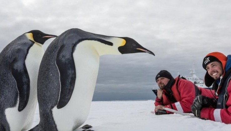 Антарктида тает по вине человека - «В мире»