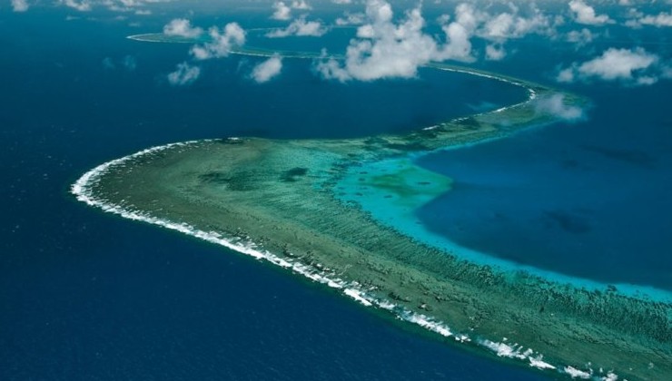 Эксперты ЮНЕСКО проверят состояние Большого Барьерного рифа - «В мире»