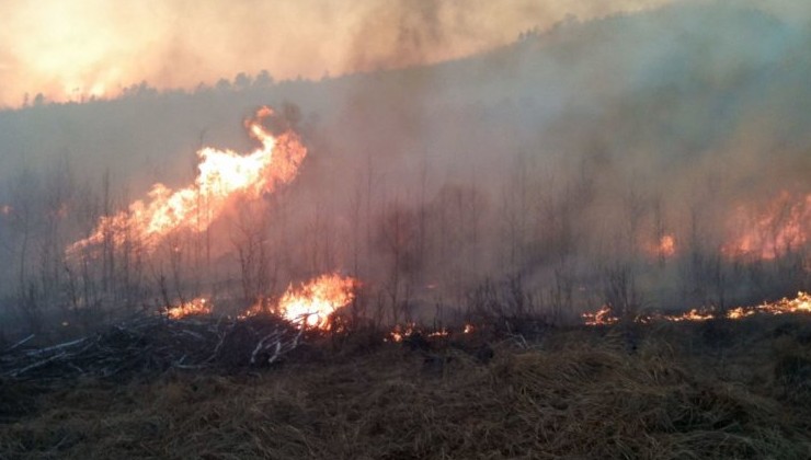 Пожароопасный сезон в Амурской области начался раньше срока - «Экология России»